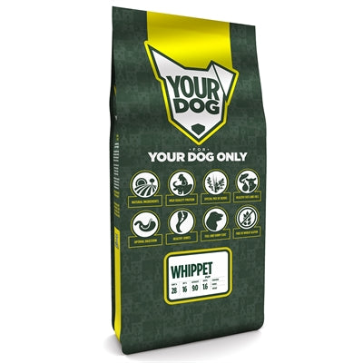Yourdog Whippet Pup
